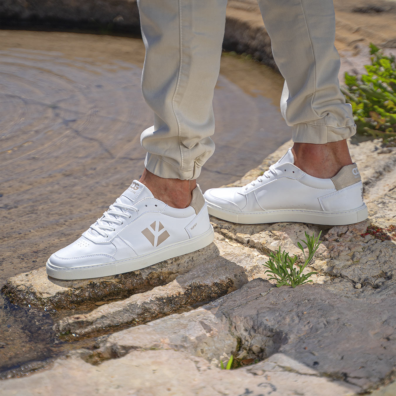 Topsy Sneaker - White Beige