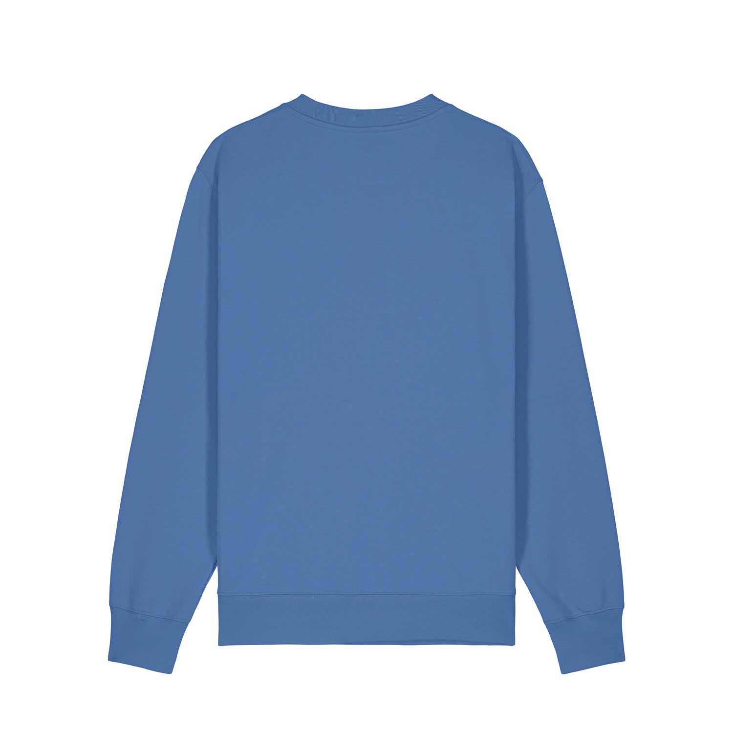 Back view of the bright blue sweatshirt with art print, made from 100% organic cotton – sustainable and ethically made fashion by New World Guardians.