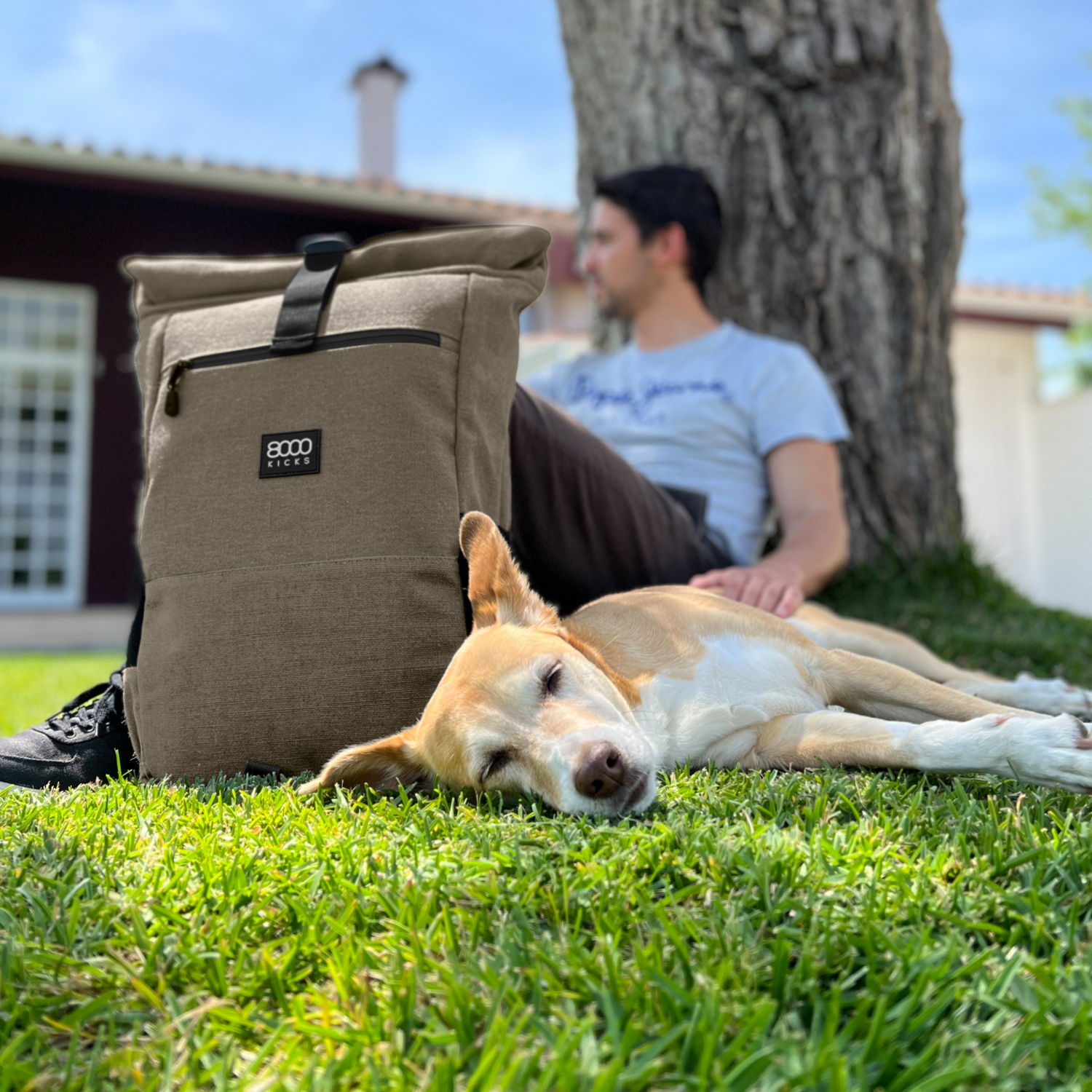 Everyday Sustainable Backpack in Dark Green