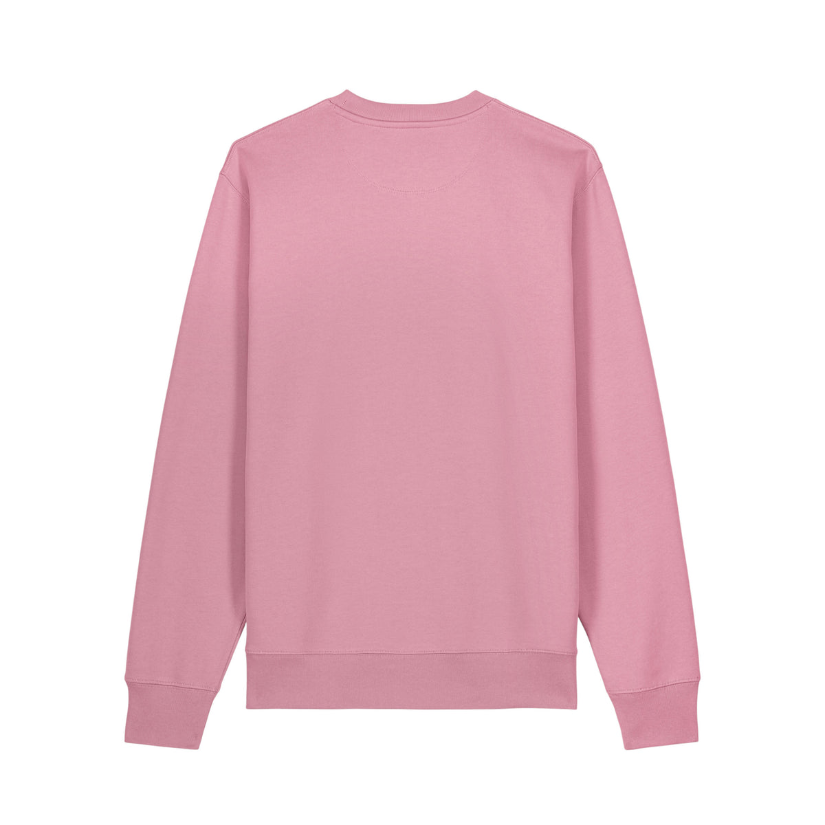 NEW WORLD GUARDIANS Leave No One Behind unisex organic cotton sweatshirt in lilac – back view