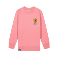 Roots for Our Future pink kids sweater in organic cotton with Bany vegan hero print, available in 10 colors