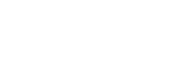 NEW WORLD GUARDIANS STORE